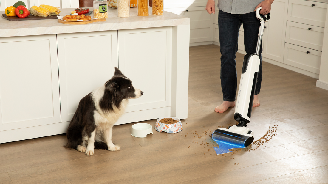 Wet and dry vacuum explained (and your possible concerns) - Uwant AU