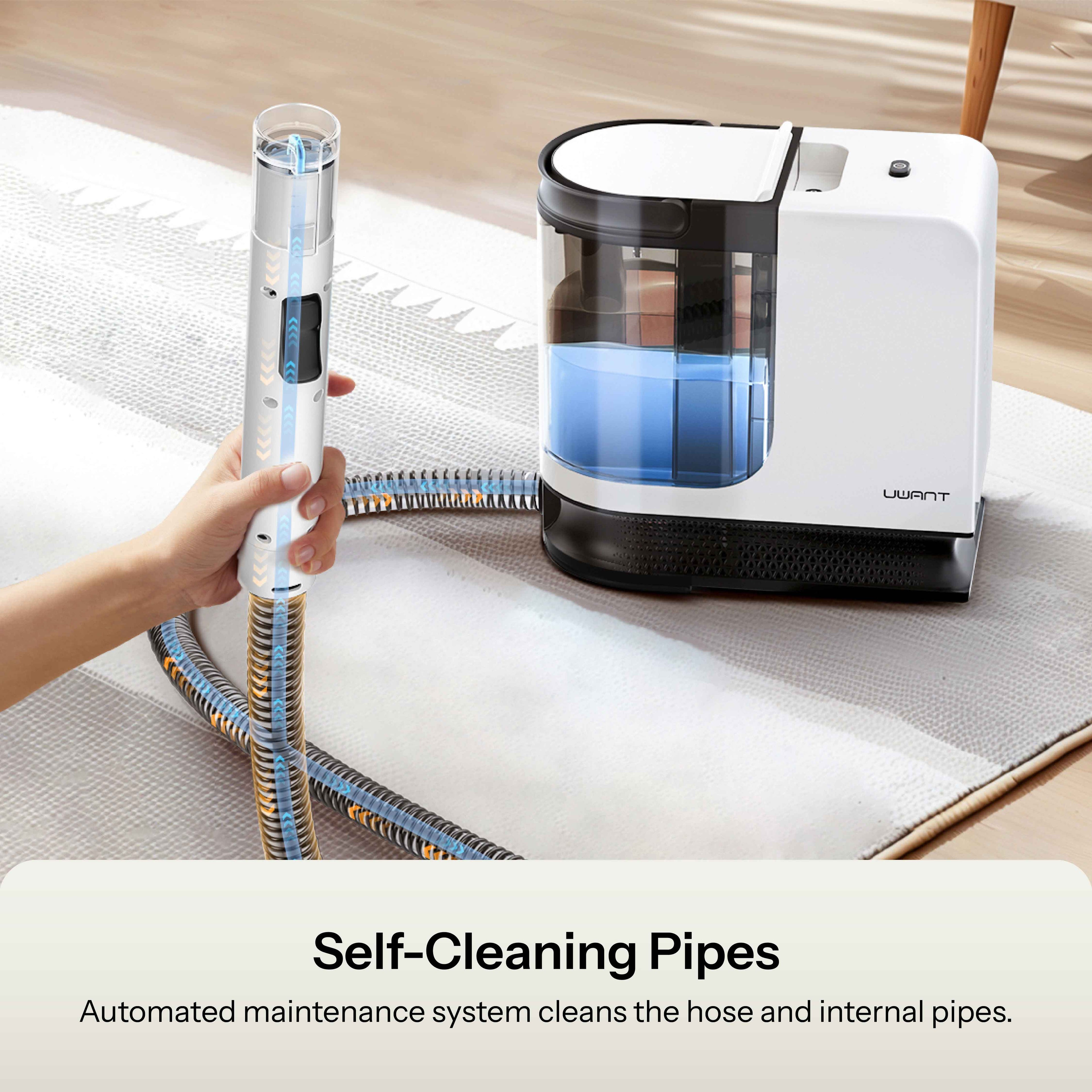 Portable carpet cleaner on rug with connected hose and transparent water tank
